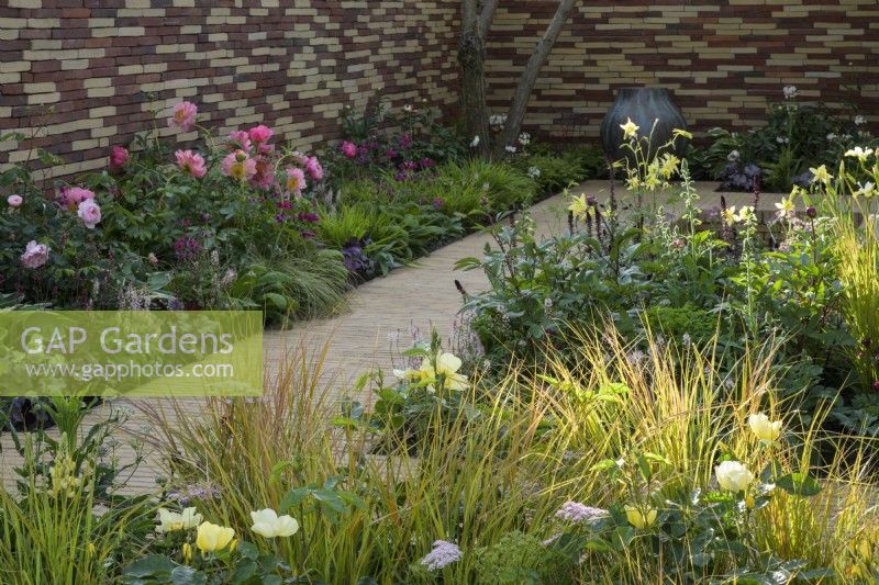 A lane leading up yellow border  planted with  roses,  astrantias, pimpinella, verbascums and ornamental grasses and pink border planted with Paeonies-- Stitchers Sanctuary Garden. Design: Frederic Whyte