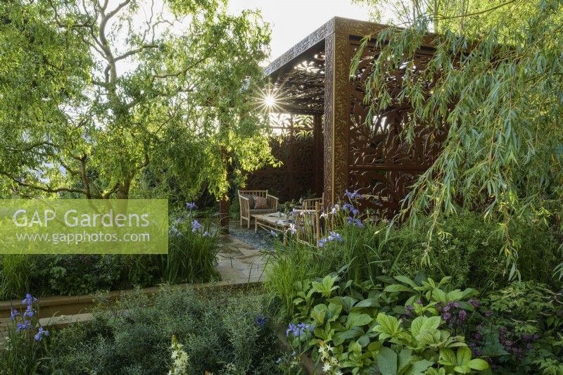 Garden view with pavilion of metal screens with Willow Boughs pattern, surrounded by herbaceous beds with blue Iris siberica, rodgersia  and  Salix matsudana tortuosa, dragon's claw willow - Morris and Co.Garden -  Designer: Ruth Willmott - 