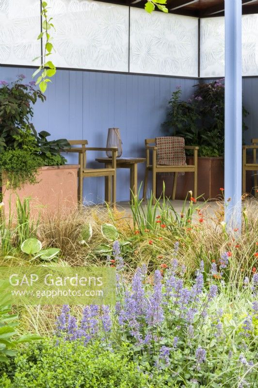 Garden with covered seating area beside  pond planted with Iris 'White Swirl' , Carex and Nepeta  'Summer Magic' reflecting blue walls  - SSAFA Sanctuary Garden. 