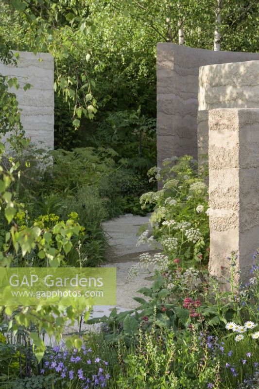 Curved path with purbeck stone  along clay rendered walls with planting of Valeriana officinalis, Briza media and Amsonia illustris in The Mind Garden - Designer: Andy Sturgeon - Sponsor: Project Giving Back.