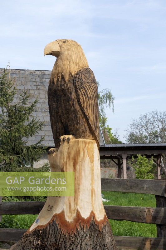 Schelldorf Saxony Anhalt Germany. 
Stump of a tree repurposed to make an impressive wooden sculpture of a bird of prey. 