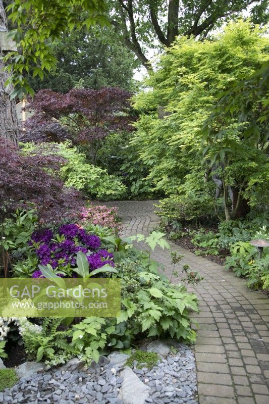 Path through the dense shrubs at Hamilton House, May