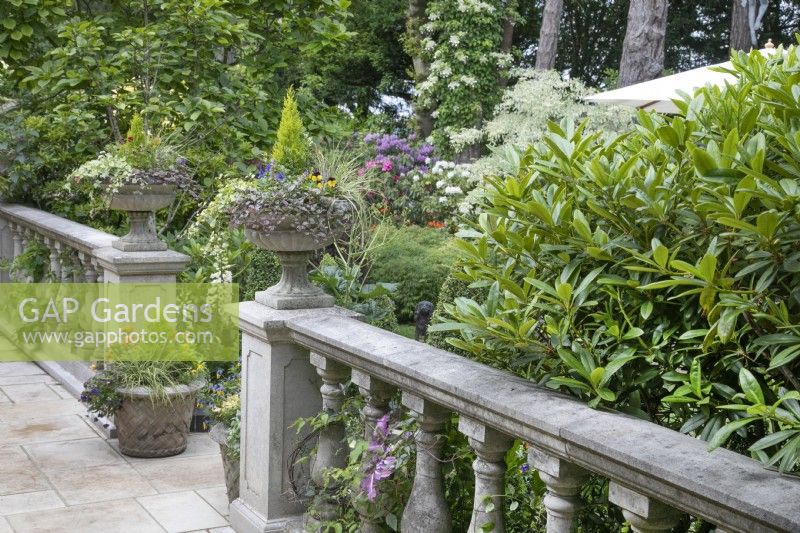 Balustrade with planted urns on the terrace at Hamilton House garden in May 