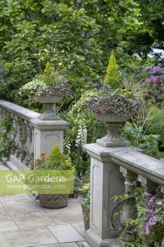 Balustrade with planted urns on the terrace at Hamilton House garden in May 