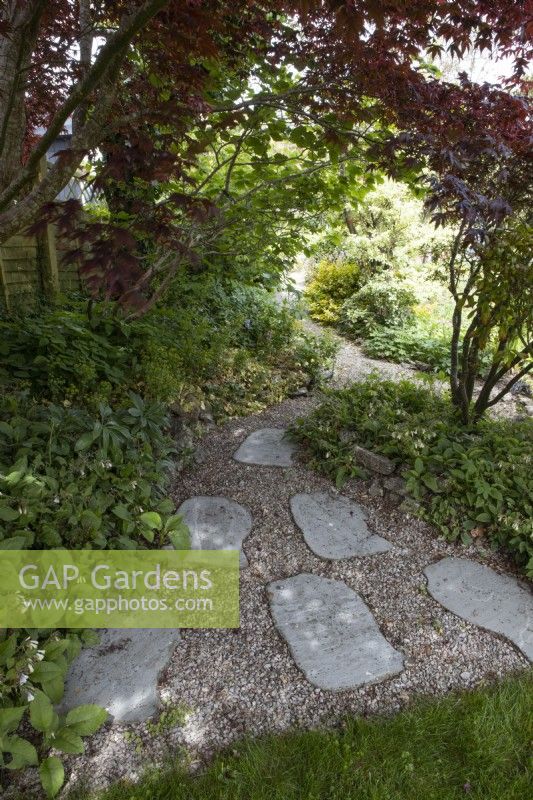 Rustic paving slabs and gravel lead a path from a wide end to a narrow end in a  triangular formation.Spring