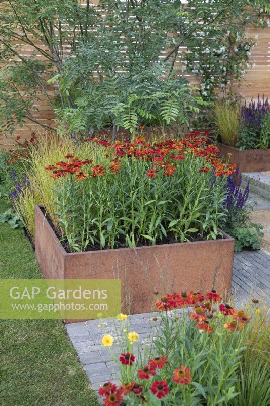 Corten steel planters full of colourful perennials in the Lunch Break Garden at RHS Hampton Court Palace Garden Festival 2022