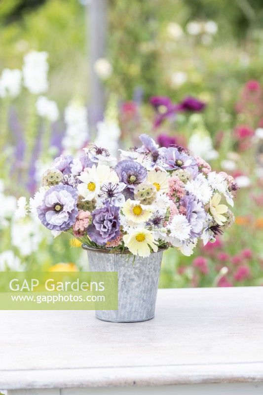 Bouquet containing Cosmos 'Lemonade', Papaver rhoeas 'Amazing Grey', Nigella papillosa 'Delft Blue', Centaurea 'Ball White', Limonium 'Apricot Beauty', Scabiosa stellata 'PingPong'