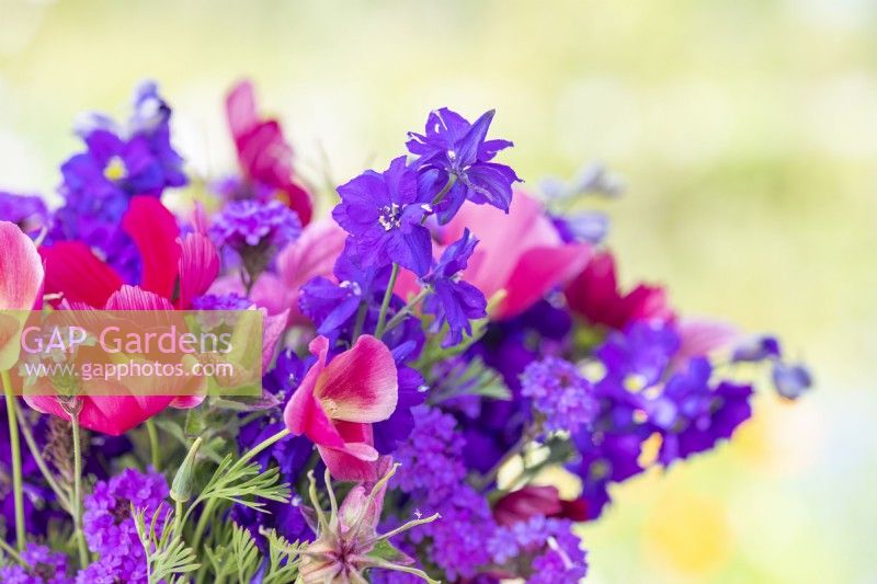 Bouquet containing Consolida ajacis 'Blue Spire', Verbena rigida 'Santos', Eschscholzia californica 'Carmine King', Nigella seed pods, Cosmos rubenza, Salvia viridis - Clary sage