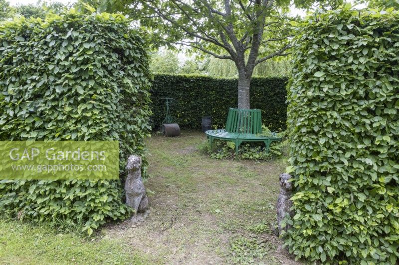 'The Reading Room' is formed by a green metal bench grown around a Quercus rubra, Red Oak tree within a hazel hedge and with handwritten slate plaques featuring gardening quotes set around it. Lewis Cottage, NGS Devon garden. Spring.