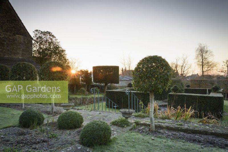 Topiary including box, lollipop Portuguese laurels and yew hedging in a formal garden in winter