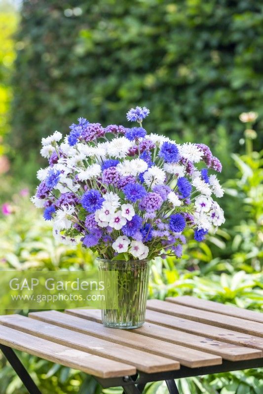 Bouquet containing Centaurea 'Double Blue', Centaurea 'Ball White' - Cornflowers, Phlox drummondii 'Tapestry', Ageratum 'Blue Mink' and Verbena bonariensis