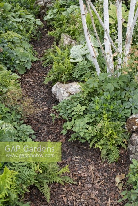 Woodchip pathway through the Vitamin G garden - RHS Tatton Park Flower Show 2022 -  Designed by Alan Williams with Jo Whiley