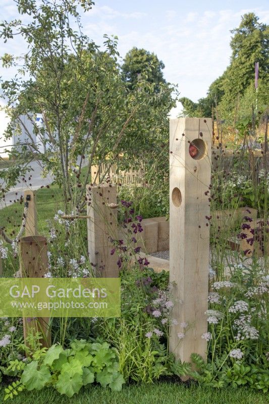 Wildlife area in The Wooden Spoon Garden at RHS Hampton Court Palace Garden Festival 2022