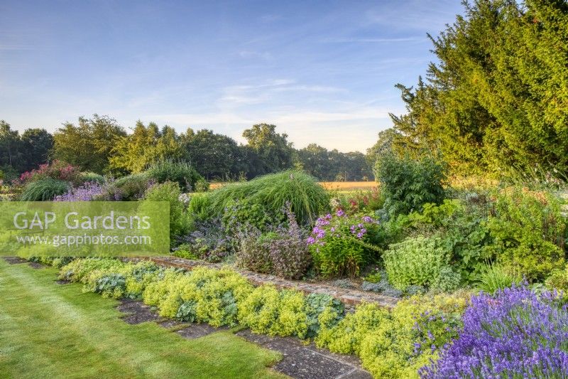 Part of mixed, terraced border with countryside behind. The low wall  is underplanted with Alchemilla mollis.   Other plants include lavender (Lavandula angustifolia 'Munstead'),  Sedum spectabile and Sedum telephium (Atropurpureum Group), phlox, penstemon, and Echinops ritro.
