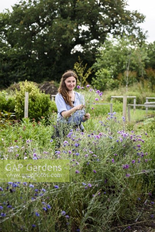 A picker at a flower farm in July