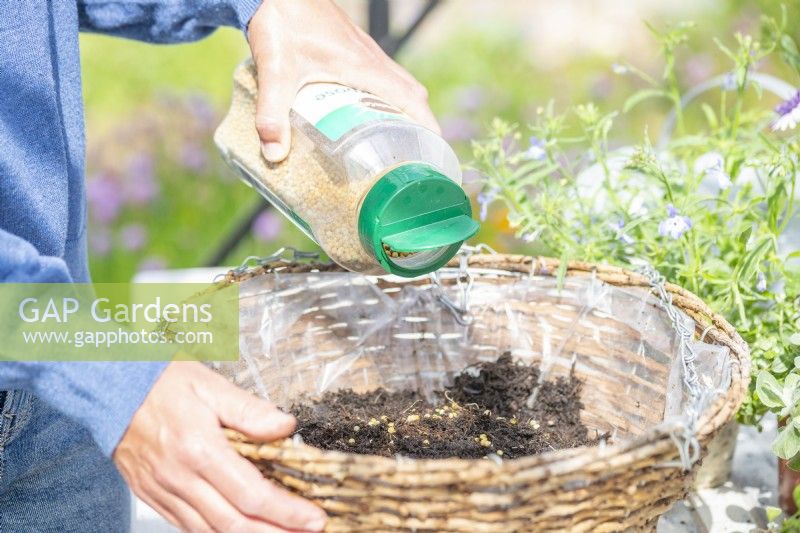 Woman pouring granular plant feed in basket