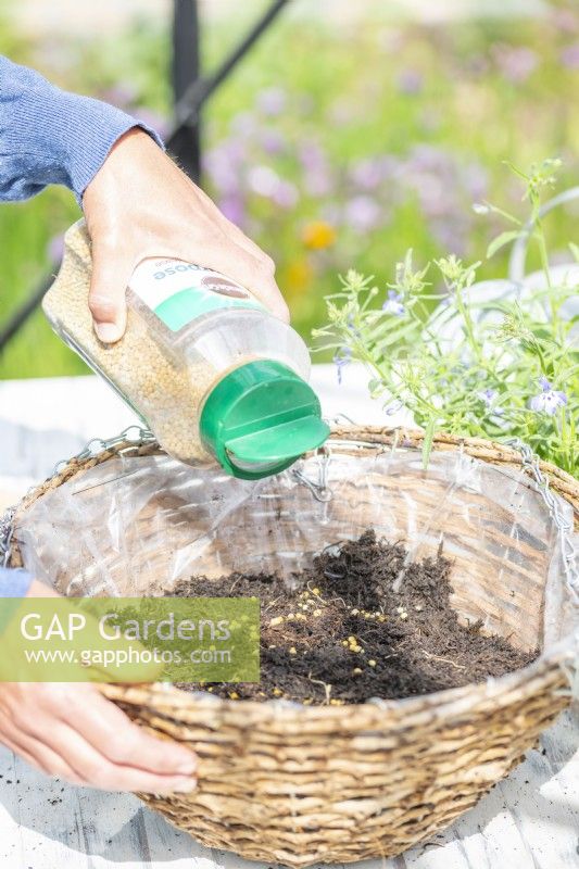 Woman pouring granular plant feed in basket