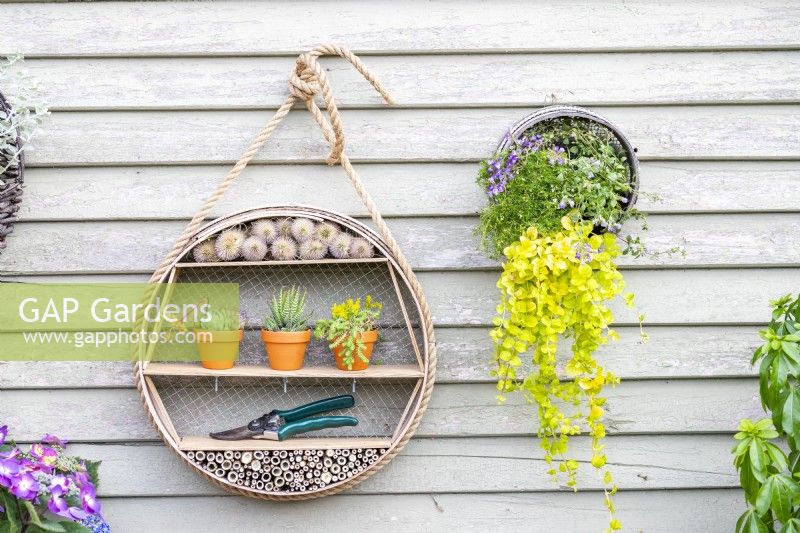 Hanging decorative sieve display