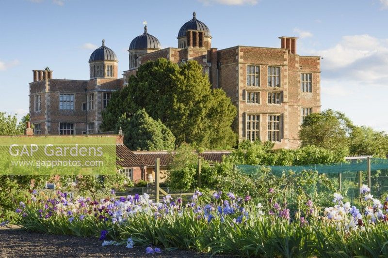 Doddington Hall rising above the walled garden where a collection of Dodsworth irises are in full flower in May