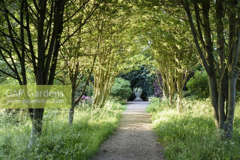 Path through the wild garden at Doddington Hall near Lincoln in May