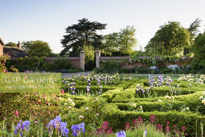 The West Garden at Doddington Hall near Lincoln in May where a box parterre is full of bearded irises