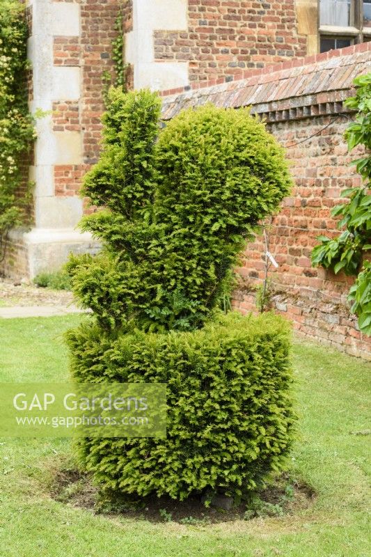 Yew topiary of a squirrel at Doddington Hall in May