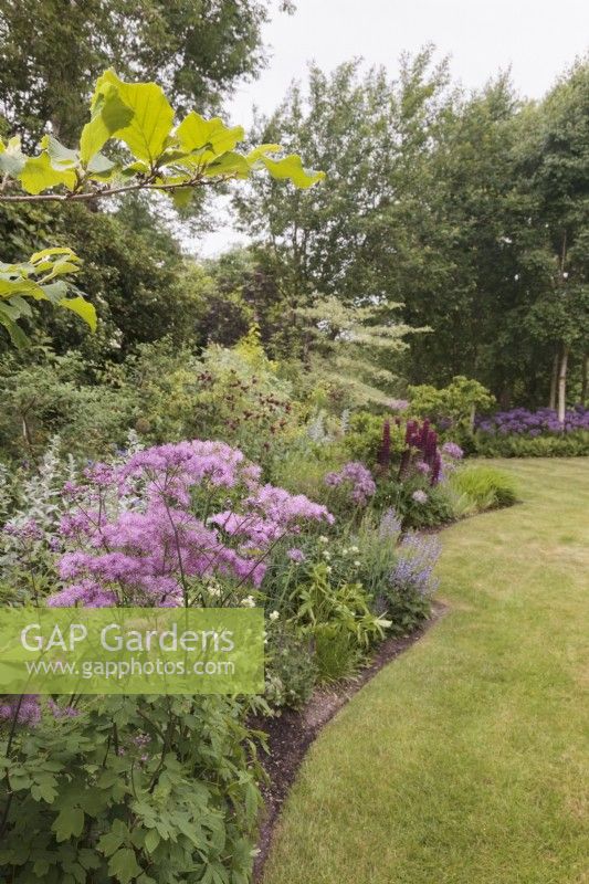 Mixed border with Thalictrum 'Black Stockings', Cirsium rivulare 'Atropurpurem' and Lupinus 'Masterpiece'