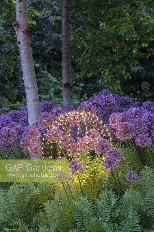  Spherical garden light amongst Alliums