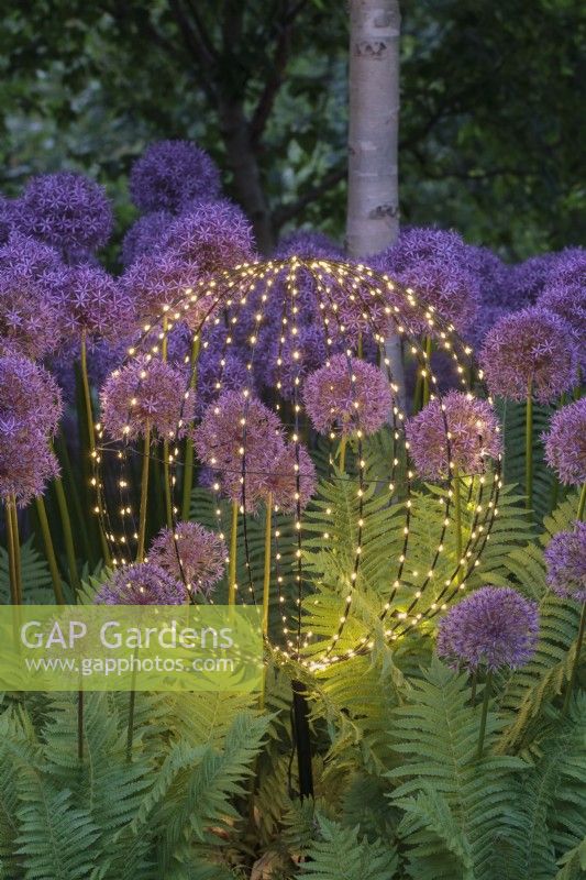 Spherical garden light amongst Alliums