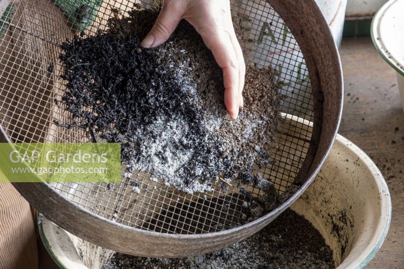Creating your own seed compost with the correct mixture of ingredients. Sieving the ingredients in to a bowl