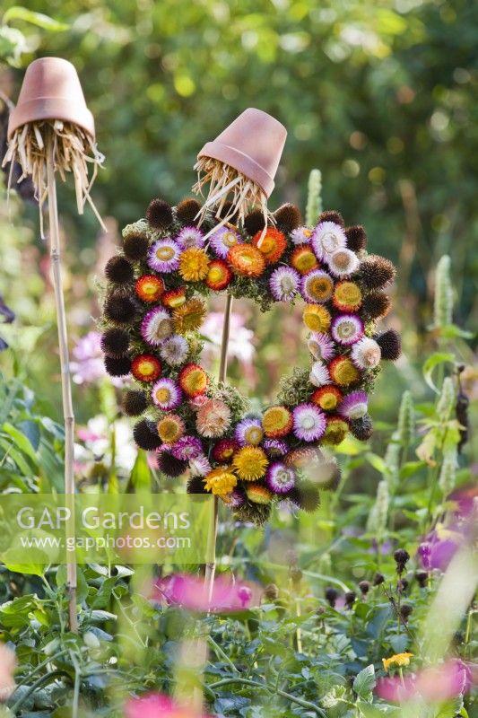 Heart wreath of dried coneflower seedheads and strawflowers.