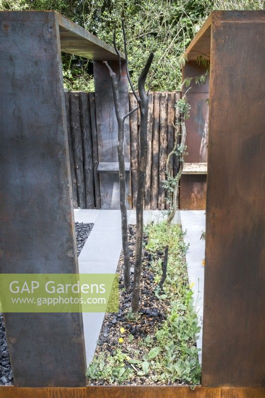 Bed with charcoal and charred wood and regenerating fire damaged Eucalyptus dalrympleana.

The Body Shop Garden 

Designer: Jennifer Hirsch

RHS Chelsea Flower Show 2022 Sanctuary Gardens