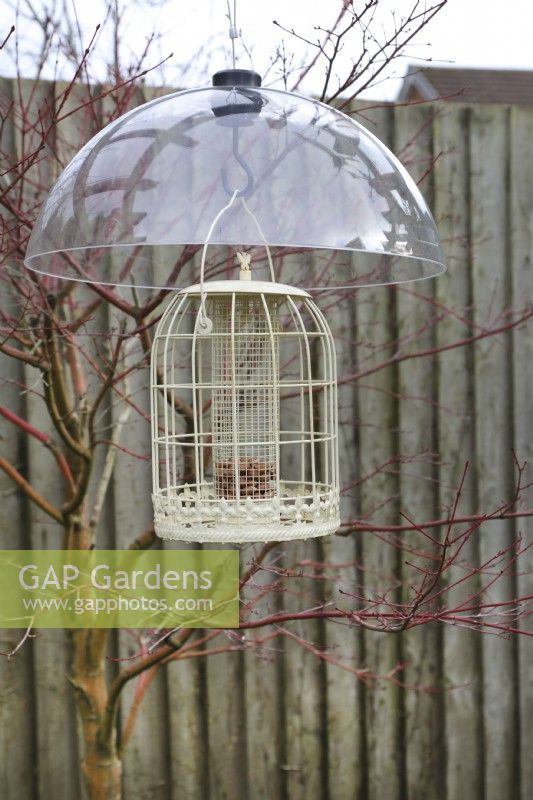 Squirrel proof bird feeder with plastic baffle