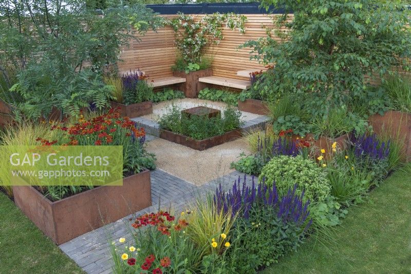 In a small private courtyard, rusted steel planters and borders  are filled with the Japanese pagoda tree and gold birch tree; Helenium 'Moerheim Beauty'; Salvia nemorosa 'Caradonna' and ornamental grasses.