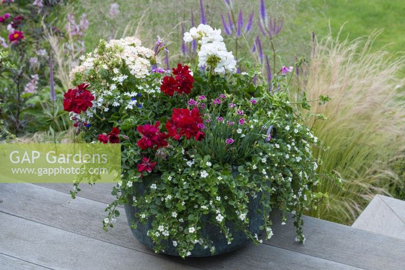 Copper pot planted with red and white geraniums, verbena, dianthus and white bacopa.