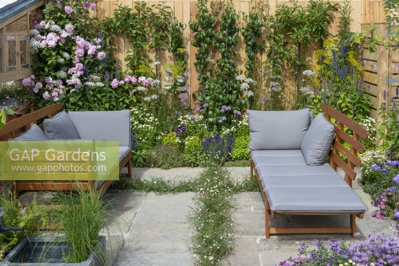 A small relaxing courtyard has fleabane growing between cracks in the paving, borders of daisy like flowers, and roses or fruit trees trained up wooden walls.