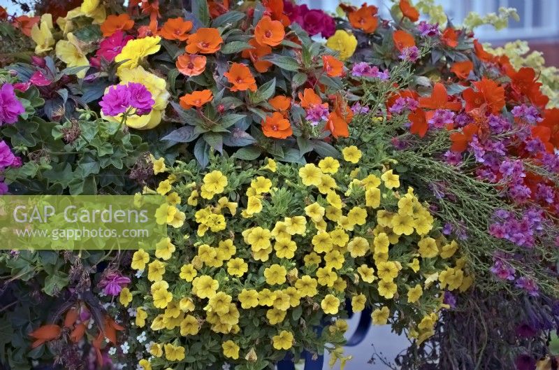 Well planted and maintained bedding display performing well into October - Exmouth, Devon, UK