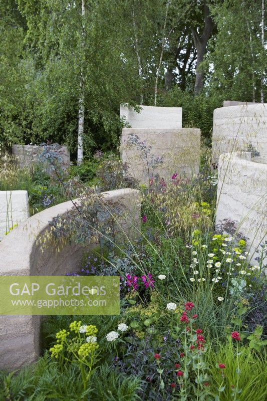 The Mind Garden. Designer: Andy Sturgeon. Sculptural walls dividing areas of the garden. With soft mixed planting of grasses, campanula, euphorbias and rose. RHS Chelsea Flower Show 2022. Gold Medal.