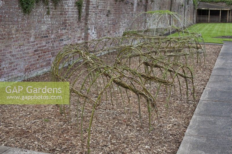 Willow plant supports