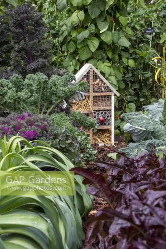 Bug house among kale, beans and leeks  - BBC Gardeners' World Live, Birmingham June 2022 - 'Marshalls Food for Thought Garden' - designer Jon Wheatley