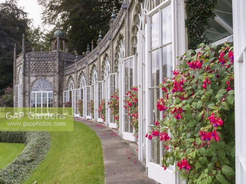 Curving Orangery with Fuchsias in doorways at Sezincote, Moreton-in-Marsh Gloucestershire