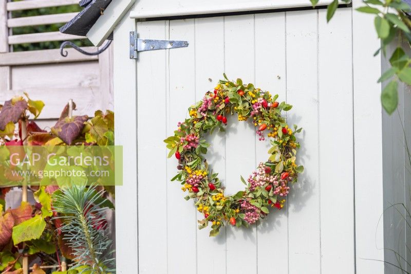 Berry wreath hanging on the front of a small garden shed