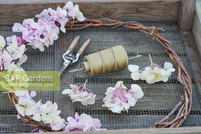 Ingredients and tools for making a Hydrangea wreath in late Summer.