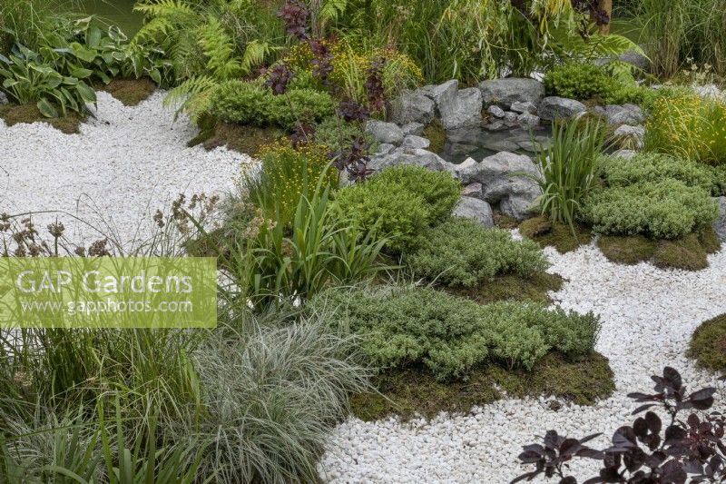 White stone chippings with planting in The Lexus Kansho-niwa Experience garden at BBC Gardener's World Live 2022