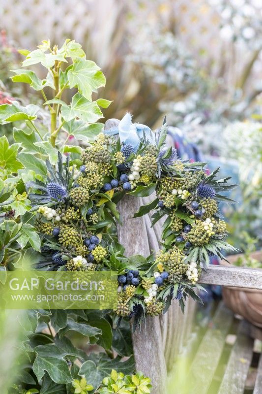 Ivy, Symphoricarpos and Eryngium wreath hanging at the end of a wooden bench