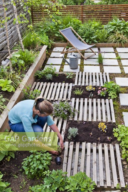 Woman creating drought tolerant flowerbed. The flower bed is separated by slats, which are decorative and at the same time serve as a path.