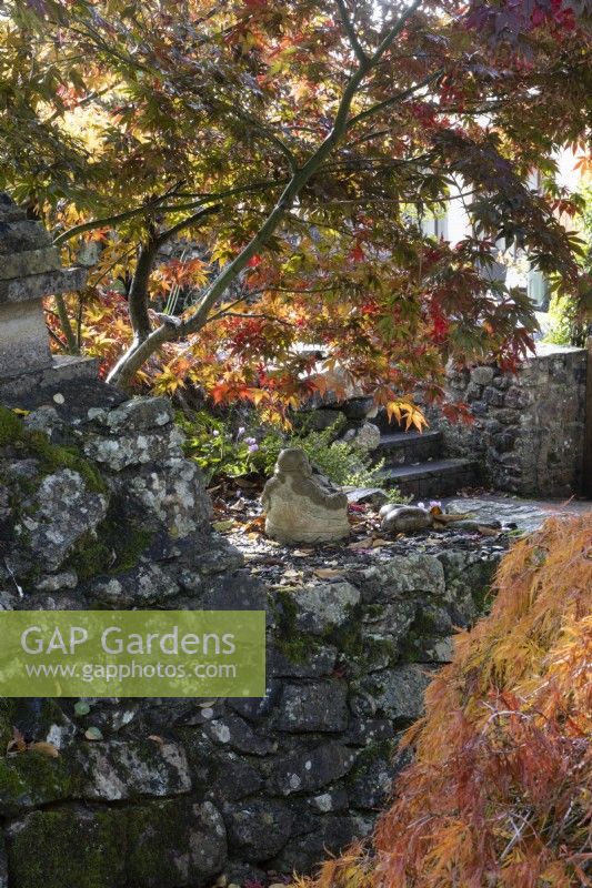 A stone retaining wall has a buddha statue sitting on it under an acer grove. Whitstone Farm, Devon NGS garden, autumn
