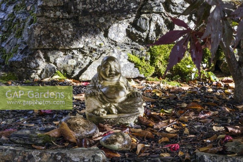 A buddha ornament sits at the base of a retaining wall beside an acer tree. Whitstone Farm, Devon NGS garden, autumn