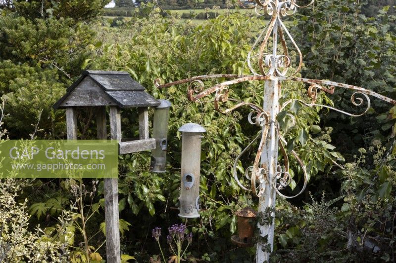 A white, rusty bird feeding station with various feeders stands beside an old wooden bird table. Autumn.