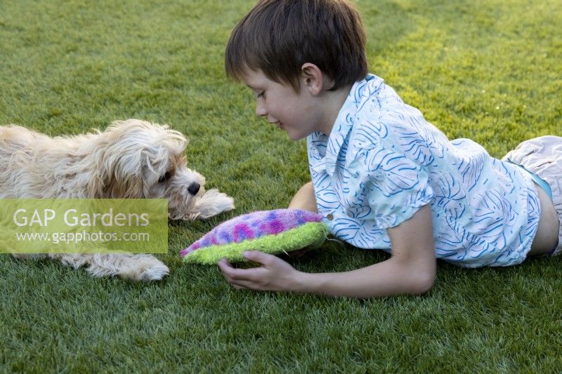 Young boy playing with dog in suburban garden